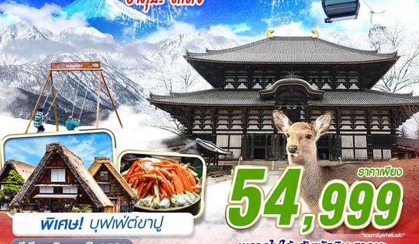 NYKIX51 DMK XJ OSAKA-TOKYO ฮาคุบะ ดีเดย์ (เที่ยวเต็ม ปีใหม่) 6D4N