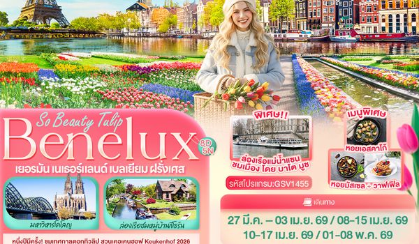 GSV1455 So Beauty Tulip Benelux Keukenhof เยอรมัน เนเธอร์แลนด์ เบลเยียม ฝรั่งเศส
