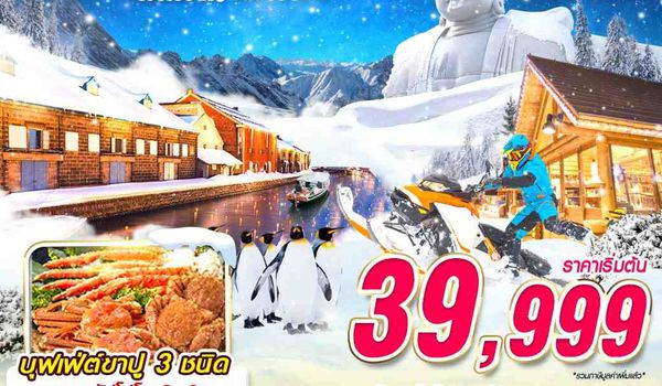 CTS41 XJ DMK HOKKAIDO WINTER หนาวฟิน (เที่ยวเต็ม)(JAN-MAR) 5D3N