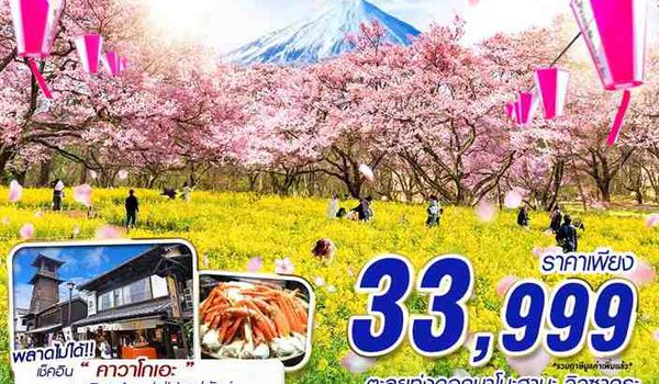 NRT62 DMK XJ TOKYO SAKURA ชมพูวิ๊งค์ (ฟรีเดย์) (MAR) 5D3N