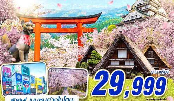 NGO61 DMK XJ NAGOYA-OSAKA SAKURA ติดใจ (ฟรีเดย์) 6D4N