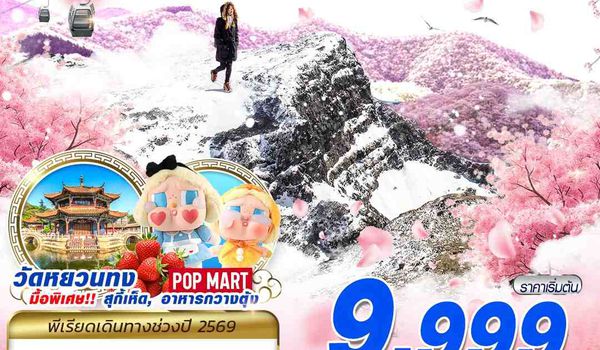 KMG27 KY BKK KUNMING ภูเขาหิมะเจี้ยวจื่อ - ชมดอกซากุระเขาหยวนทง 4D3N (MAR26)