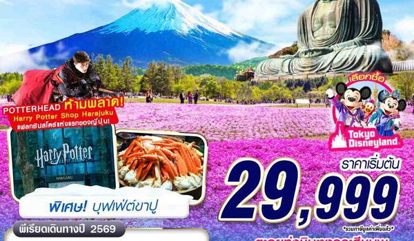 NRT66 XJ DMK TOKYO ชิบะซากุระสีชมพู (FREEDAY) บินดึกกลับเช้า 5D3N