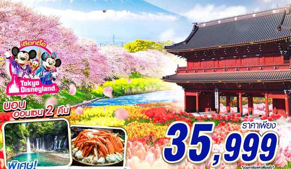 NRT70 XJ DMK TOKYO TULIP ชุ่มฉ่ำใจ (FREEDAY) บินดึกลับสาย APR 6D4N