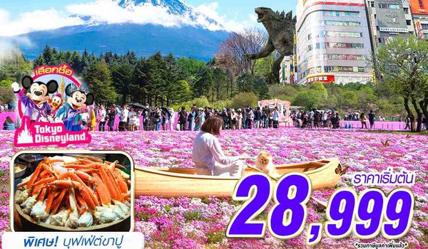 NRT71 XJ DMK TOKYO ชิบะซากุระ ช้อปปัง (FREEDAY 2 วัน) บินดึกกลับสาย APR-MAY 6D4N