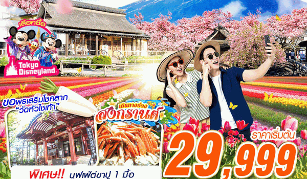 NRT72 VZ BKK TOKYO ทิวลิป ฉ่ำว้าว (FREEDAY) บินดึกกลับเช้า MAR-APR 5D3N