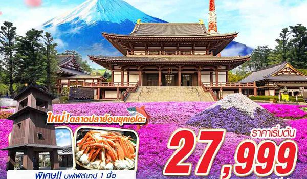 NRT73 VZ BKK TOKYO ชิบะซากุระ สวยจึ้ง (FREEDAY) บินดึกกลับเช้า APR -MAY 5D3N