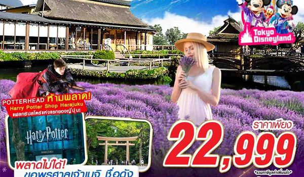 NRT80 XJ DMK TOKYO โปรดีๆ ลาเวนเดอร์ที่ถูกใจ (FREEDAY 2 วัน) XJ602-603 JUL 6D4N