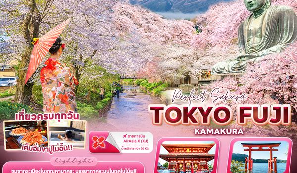 JXJ240 Perfect Sakura TOKYO FUJI KAMAKURA 5วัน 3คืน 