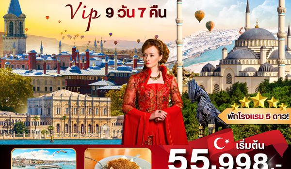 (PV-TUR-PF1DOM9D-TK) VIP TURKIYE (DOMESTIC) 9D7N (TK)