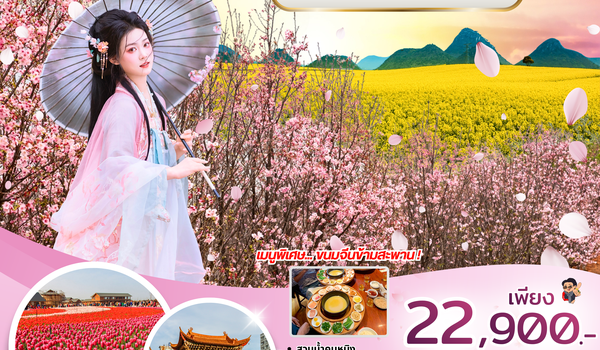 (PV-CNKMF01-KY) คุนหมิง - หุบเขาซากุระ 4D 3N (KY)