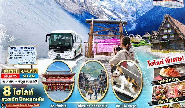 RJ-XJ115 JAPAN ALPS KAMIKOCHI TAKAYAMA FUJI TOKYO ทัวร์ เรียล เรียล...โตเกียว 2 ผู้ยิ่งใหญ่ ปี 3