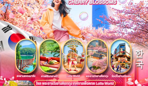 PKR-ICN06-SL PRO CHERRY BLOSSOMS IN KOREA