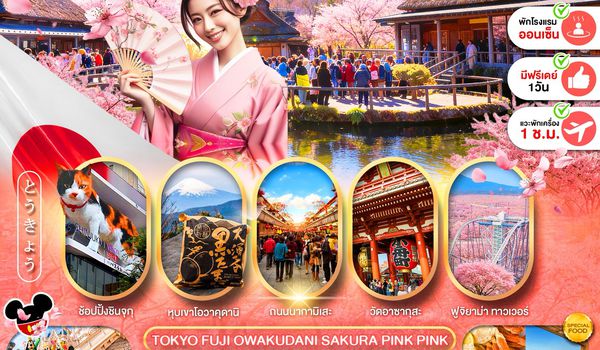 PJPNRT26-SL PRO TOKYO FUJI OWAKUDANI SAKURA PINK PINK 6D4N