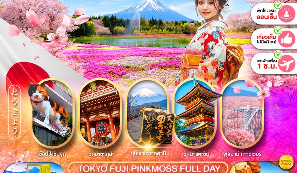 PJPNRT27-SL TOKYO FUJI PINK MOSS FULL DAY 5D3N