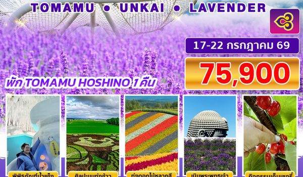 BJ-HOK260717 THE  BETTER  HOKKAIDO TOMAMU UNKAI LAVENDER