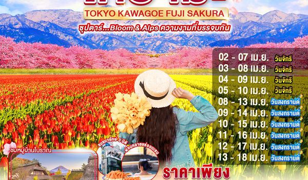 XJ338 TOYAMA TOKYO KAWAGOE FUJI SAKURA 6D 4N BY XJ --- APR'26 -- ซุปตาร์.....Bloom & Alps ความงามที่บรรจบกัน ProgramId:377