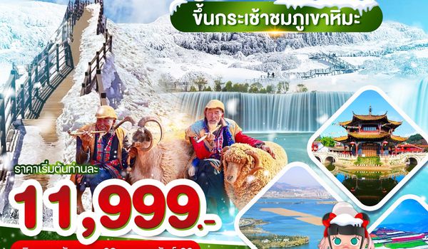 WDKMG002 คุนหมิง ภูเขาหิมะเจี้ยวจื่อ แผ่นดินสีแดง ชมดอกไม้ตามฤดูกาล 4วัน3คืน