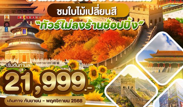 WDPEK001 ปักกิ่ง กำแพงเมืองจีน (Premium) ชมดอกไม้เปลี่ยนสี "ไม่ลงร้านช้อปปิ้ง" 5วัน 3คืน