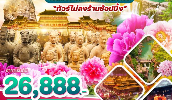 WDYCU005 ซีอาน ชมเทศกาลดอกโบจั๋นเมืองลั่วหยาง 6วัน5คืน