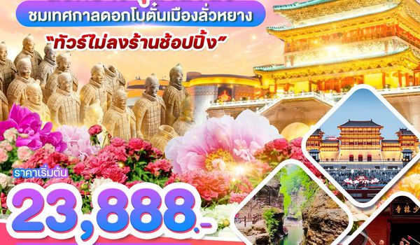 WDYCU006 ซีอาน ลั่วหยาง สุสานจิ๋นซี ชมเทศกาลดอกโบตั๋นเมืองลั่วหยาง 5วัน 4คืน