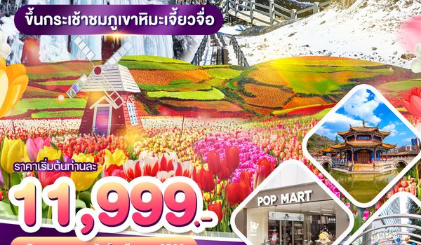 WDKMG003 โปรแกรม คุนหมิง ภูเขาหิมะเจี๋ยวจื่อ แผ่นดินสีแดง ชมซากุระ 4วัน 3ดีน