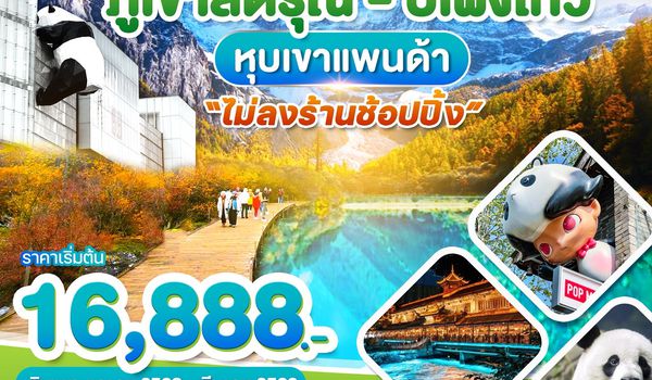 WDTFU001 เฉิงตู ภูเขาสี่ดรุณี ปี้เผิงโกว หุบเขาแพนด้า 5วัน 4คืน