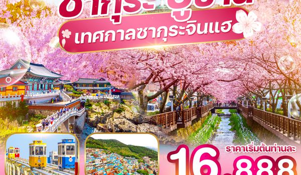 WDPUS005 ปูซาน เทศกาลซากุระจินแฮ 2026 5วัน3คืน บิน BX