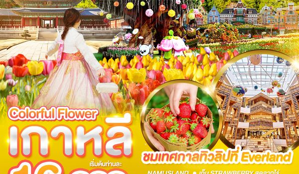 WDICN003 เกาหลี Colorful flower เที่ยวเต็มไม่มีฟรีอิสระ 5วัน บิน BX
