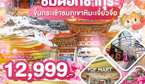 WDKMG006  คุนหมิง ”ชมดอกซากุระบาน“ภูเขาหิมะเจี้ยวจื่อ แผ่นดินสีแดง 4วัน3คืน