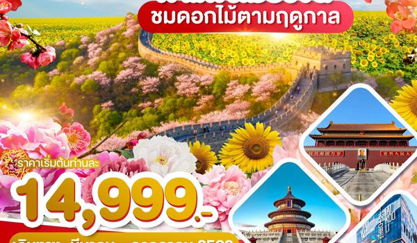 WDPKX004 ปักกิ่ง กำแพงเมืองจีน ชมดอกไม้ตามฤดูกาล