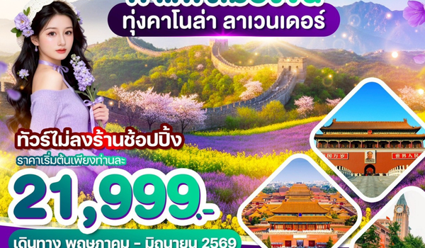 WDPEK005 WONDER CHINA ปักกิ่ง กำแพงเมืองจีน ทุ่งคาโนล่า ลาเวนเดอร์ 5วัน3คืน
