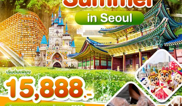 WDICN007 เกาหลี Summer in Seoul อิสระฟรีเดย์ 1 วันเต็ม 5วัน3คืน บิน TW