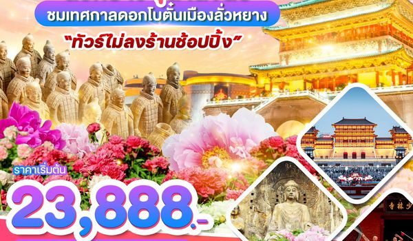 WDYCU006 ซีอาน ลั่วหยาง สุสานจิ๋นซี ชมเทศกาลดอกโบตั๋นเมืองลั่วหยาง 5วัน 4คืน