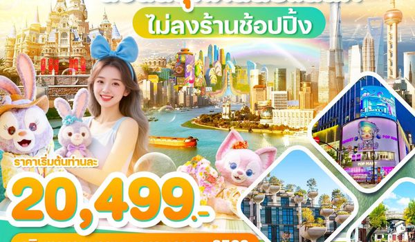 WDPVG004 เซี่ยงไฮ้ ถนนนานกิง ดิสนีย์แลนด์ 5วัน3คืน บิน 9C