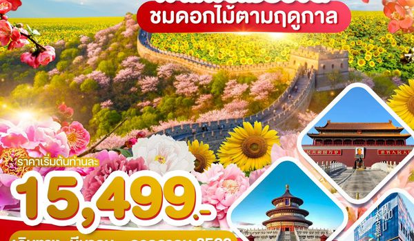 WDPKX004 ปักกิ่ง กำแพงเมืองจีน ชมดอกไม้ตามฤดูกาล
