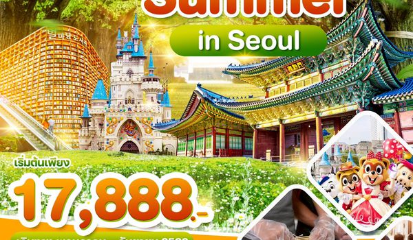 WDICN007 เกาหลี Summer in Seoul อิสระฟรีเดย์ 1 วันเต็ม 5วัน3คืน บิน TW