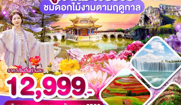 WDKMG008 คนหมิง ภูเขาหิมะเจี่ยวจื่อ ชมดอกไม้งามตามฤดูกาล 4วัน3คืน