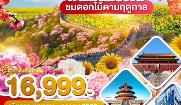 WDPKX004 ปักกิ่ง กำแพงเมืองจีน ชมดอกไม้ตามฤดูกาล