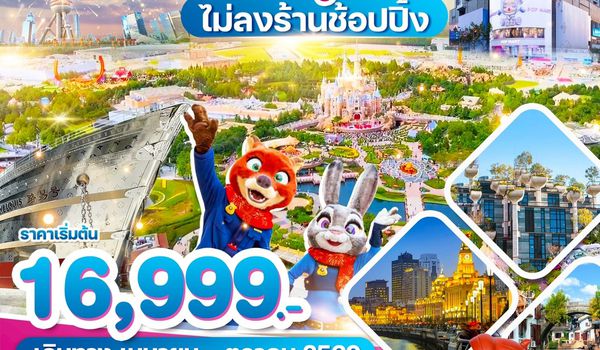 WDPVG007 เซี่ยงไฮ้ ถนนนานกิง ดิสนีย์แลนด์ 4วัน2คืน
