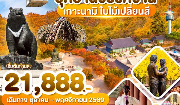 WDICN008 เกาหลี อุทยานซอรัคซาน เกาะนามิ ใบไม้เปลี่ยนสี 5วัน3คืน บิน BX & TW