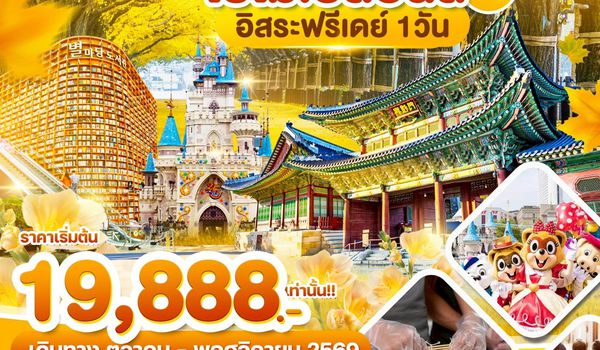 WDICN009 เกาหลี โซล ใบไม้เปลี่ยนสี อิสระฟรีเดย์ 1วัน_5วัน3คืน บิน BX & TW