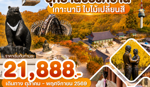 WDICN008 เกาหลี อุทยานซอรัคซาน เกาะนามิ ใบไม้เปลี่ยนสี 5วัน3คืน บิน BX & TW
