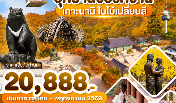 WDICN008 เกาหลี อุทยานซอรัคซาน เกาะนามิ ใบไม้เปลี่ยนสี 5วัน3คืน บิน BX & TW