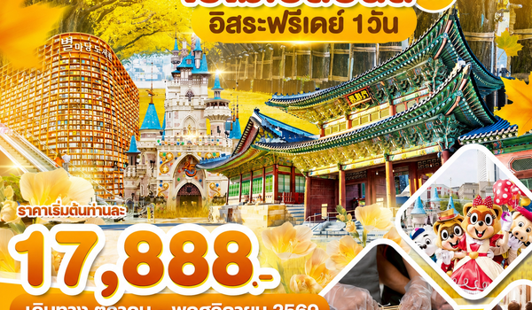 WDICN009 เกาหลี โซล ใบไม้เปลี่ยนสี อิสระฟรีเดย์ 1วัน_5วัน3คืน บิน BX & TW