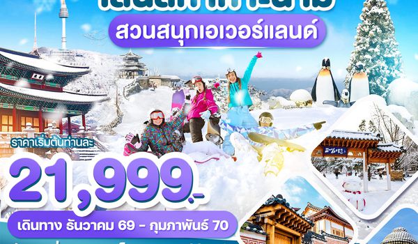 WDICN010 เกาหลี เล่นสกี เกาะนามิ เที่ยวปีใหม่!! สวนสนุกเอเวอร์แลนด์ 5วัน3คืน บิน TW