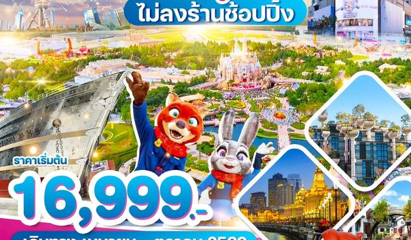 WDPVG007 เซี่ยงไฮ้ ถนนนานกิง ดิสนีย์แลนด์ 4วัน2คืน บิน 9C