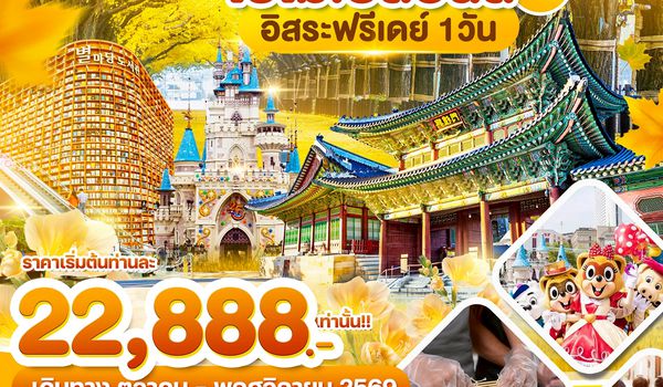 WDICN009 เกาหลี โซล ใบไม้เปลี่ยนสี อิสระฟรีเดย์ 1วัน_5วัน3คืน บิน BX & TW