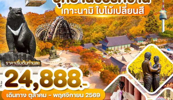 WDICN008 เกาหลี อุทยานซอรัคซาน เกาะนามิ ใบไม้เปลี่ยนสี 5วัน3คืน บิน BX & TW