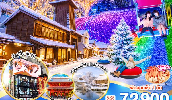 GO2NRT-TG103 TOKYO FUJI ILLUMINATION SKI WINTER  NEW YEAR 6D 4N โดยสายการบินไทย [TG]